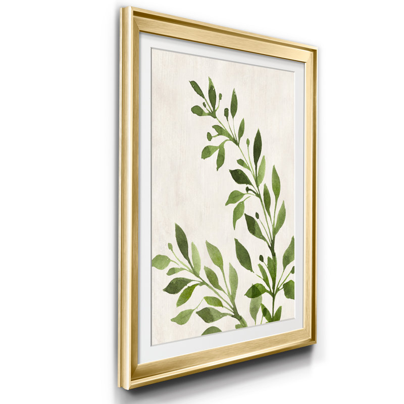 Botanical Wash I - cadre photo, reproduction d'art, H 18,5 po x l 24,5 po x P 1,5 po, Doré