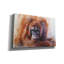 «The Daydreamer Orangutan» par Robert Campbell, art mural sur toile-182214896