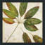Organic III par Patricia Pinto - Peinture-960090439-960090438