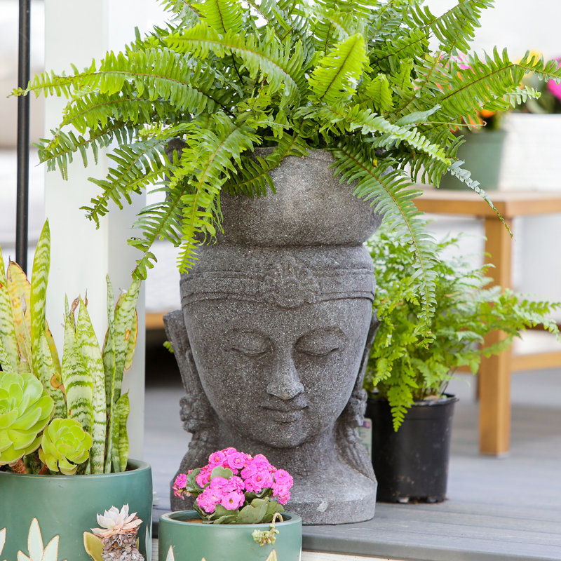 Buddha Head Planter