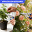 Ensemble de 2 ciseaux de jardin professionnels en acier inoxydable pour jardinage