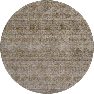 Premium Machine Washable Melvin AMF1170 Global Rug