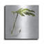 Art mural en métal Winston Porter «Single Green Stem in Glass» par Bluebird Barn-1035619686