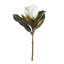 17.5-Inch Magnolia Stem