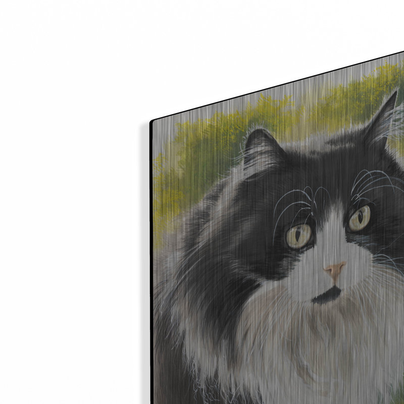 «Maine Coon 2» par Barbara Keith, H 16 po x l 12 po