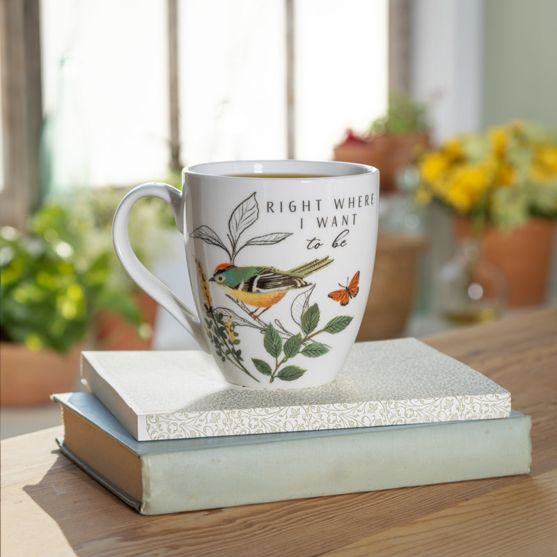 Boîte-cadeau en céramique, 17 oz, boîte-cadeau Bird