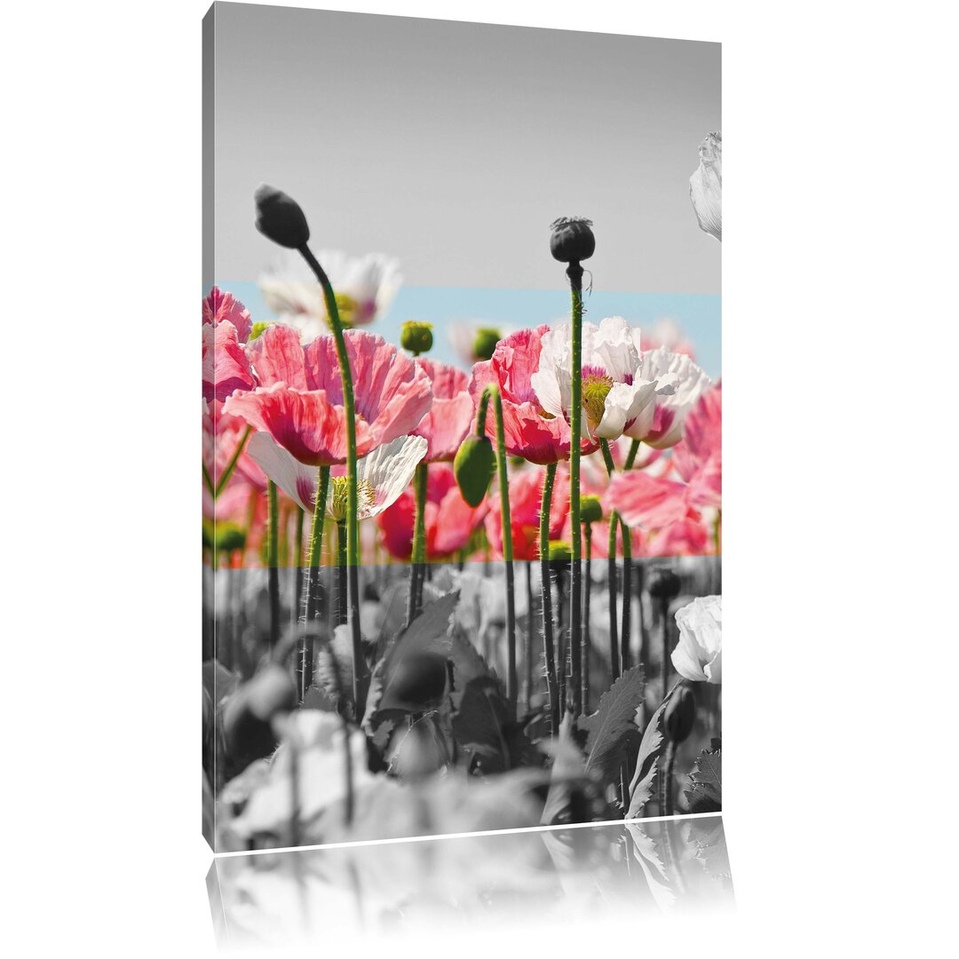 Leinwandbild Blumenwiese Mohnblumen