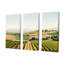 Vineyard Scenery Landscape Beauty II - ensemble d'art mural sur toile Vineyard-107765323-107765327