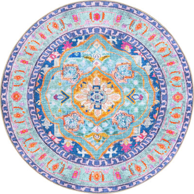 Sonja Chenille Oriental Indoor Rug