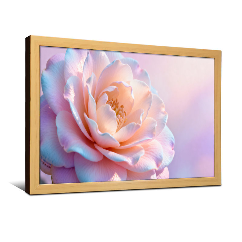 Plantes et fleurs rose tendre sur fond pastel, Reproduction encadrée d'une seule photo sans pass, Noir, H 20 po x l 30 po