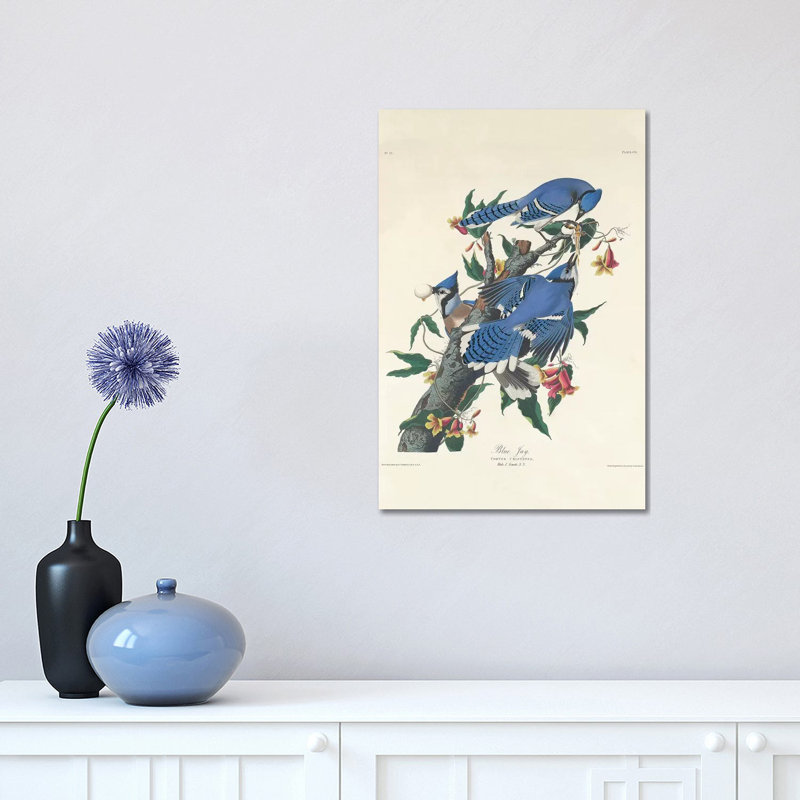 Blue Jay, 1831 by John Audubon - Print on Canvas, Wrapped Canvas, 30.48 cm H x 45.72 cm W