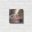 Red Barrel Studio® «Earth as Art: Terkezi Oasis», art mural en métal-1695038933