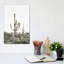 « rosé timide cactus », photographie-43719286-43719285