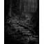 Forest Stairs Print-65852833-65827912