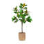 UV Rated 5' Magnolia Tree Drop-In with Bamboo Planter