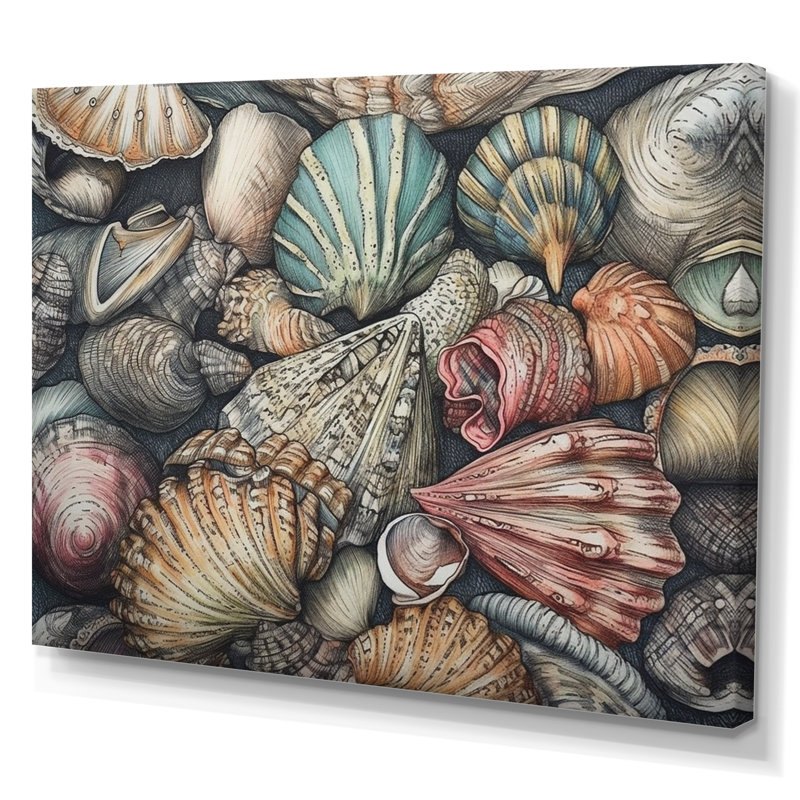 Seaside Seashells V sur toile, H 12 po x l 20 po x P 1 po, Toile tendue