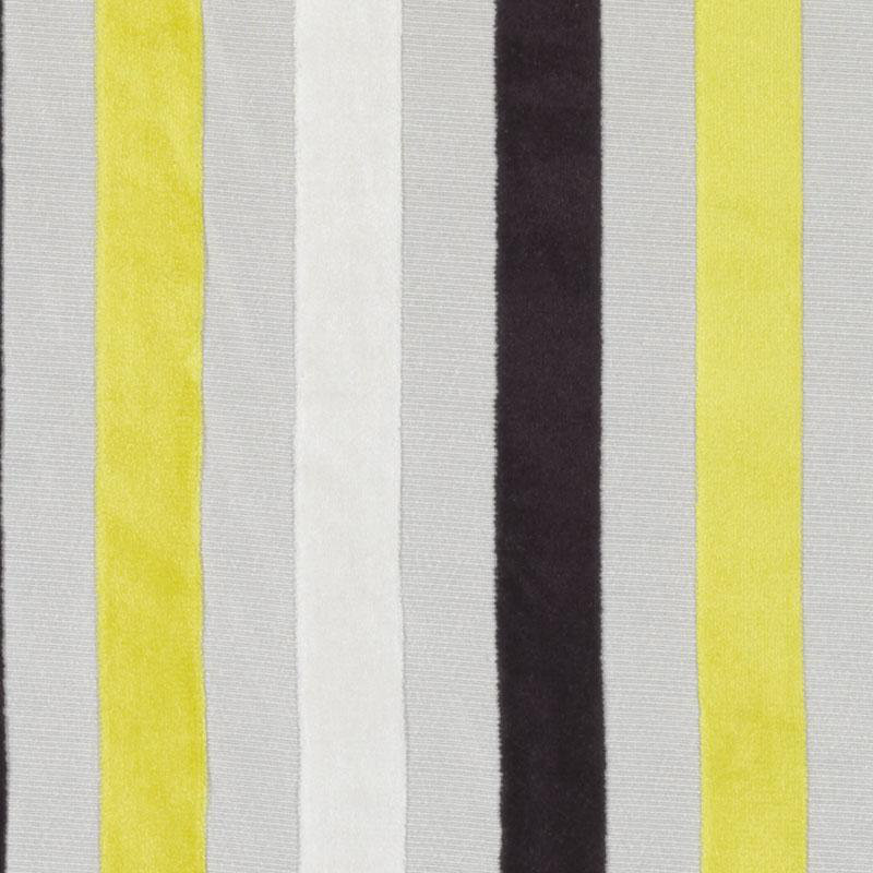 Tobi Fairley Prints and Wovens Hamilton Fabric, Black/Gold