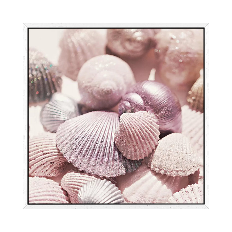 Shells And Glitter by Monika Strigel - Print on Canvas, 45.72cm H x 45.72cm W x 3.81cm D, White Framed