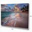 Palmiers sur une plage de sable claire - reproduction de photo-33323146-19242436