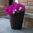 Jacey Self-Watering Concrete Texture Planter-1968307977