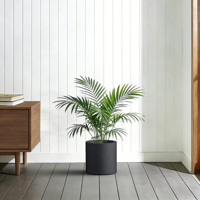 10in. Small Matte Black(Upgraded Interior) Concrete Tall Round Planter Pot Cylindrical Flower Planter with Drainage Hole