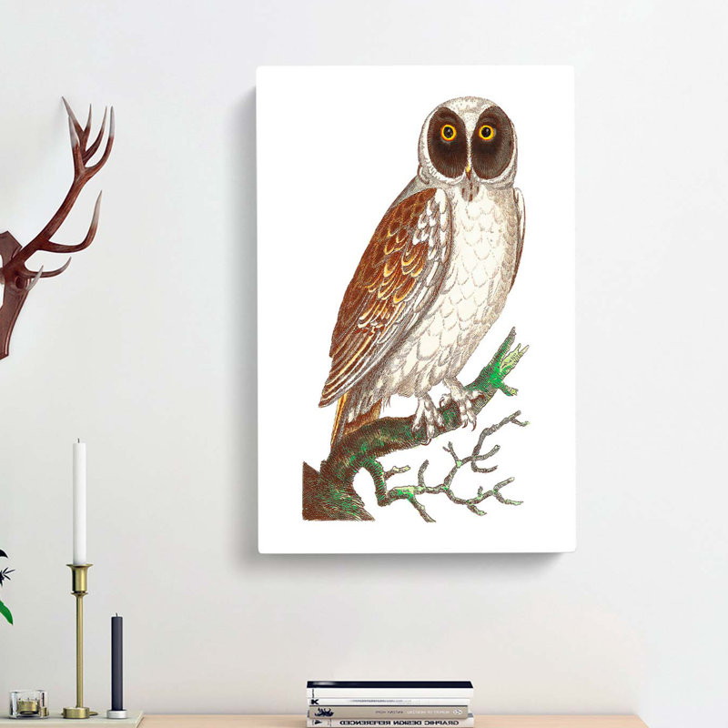 Masked Owl by George Shaw - Wrapped Canvas Painting, 60cm H x 40cm W x 3cm D