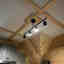 Photos des clients 1 de 1