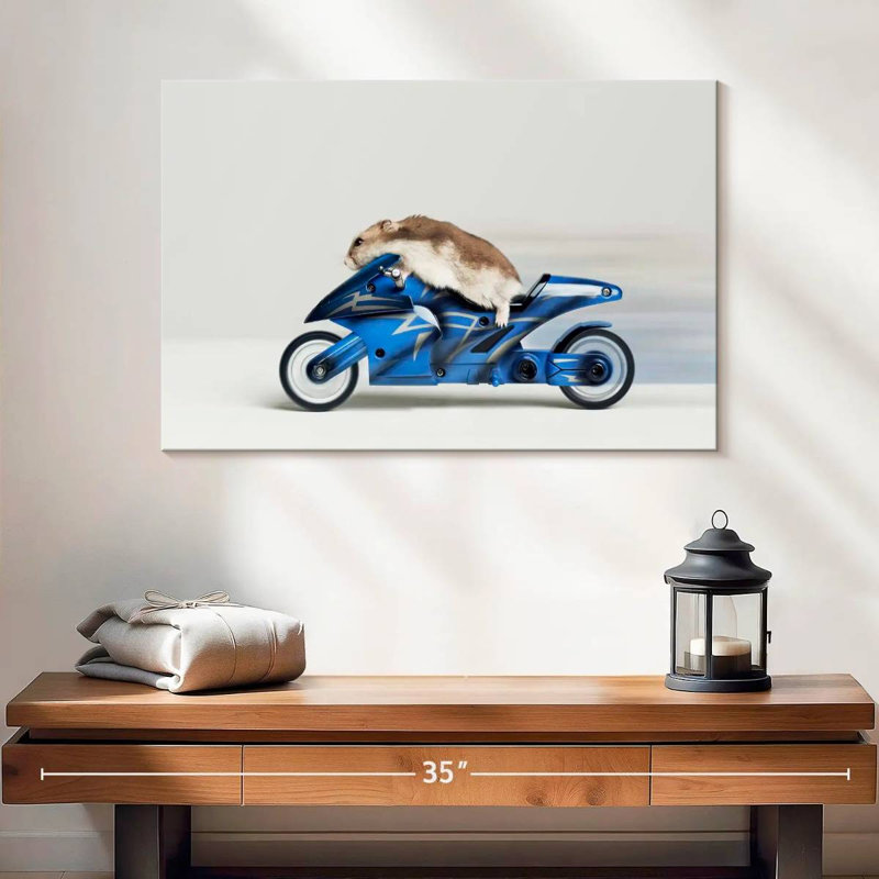 Hamster Ketti sur une moto jouet, H 16 po x l 24 po