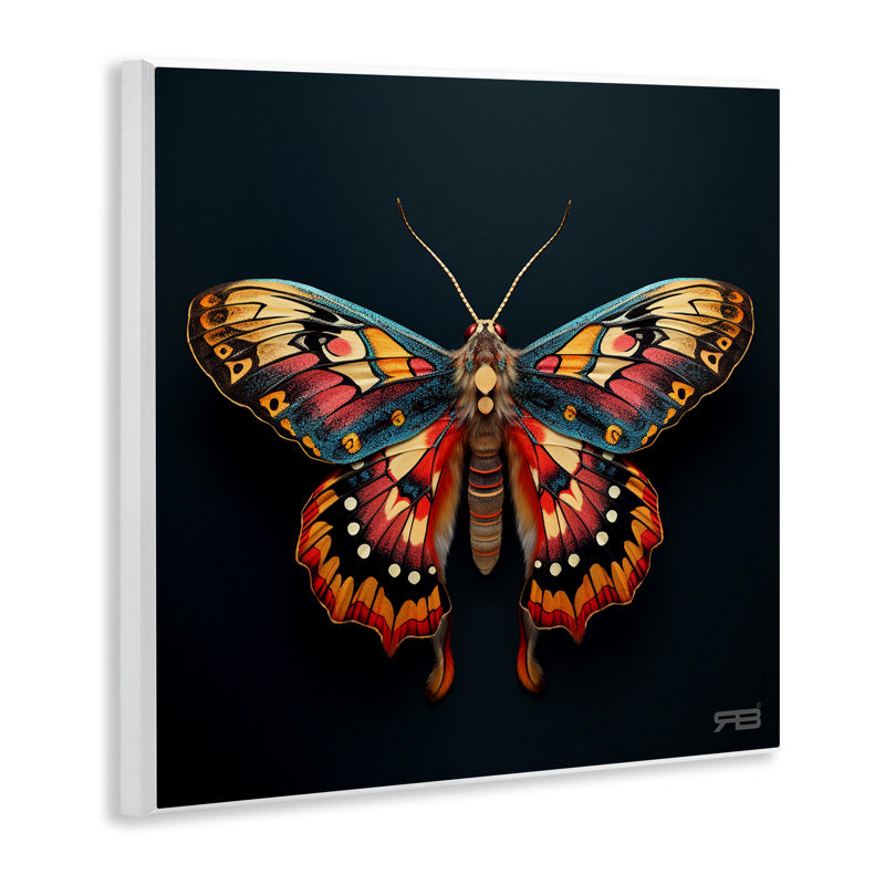 Vivid Patterned Moth Wall Plaque Art by Roozbeh Bahramali