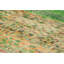 One-of-a-Kind 3'11"x5'11" Hand Knotted Area Rug