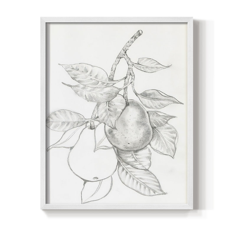 Impression encadrée FruitBearing Branch III - bois massif, Cadre simple blanc, H 10 po x l 8 po