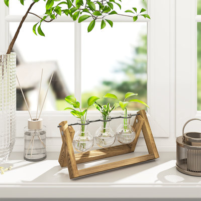 3-Piece Ball-Shaped Glass Terrarium Vase Set with Wooden Stand and Rotating Metal Holder for Hydroponic Plants, Home, Garden, Office, and Tabletop Décor