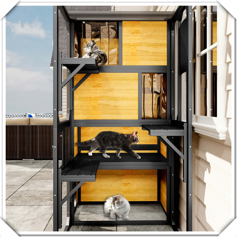 Catio d'extérieur à 4 niveaux avec plateformes d'accès aux fenêtres