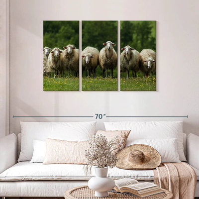 Brampt Tuscany Sheep