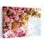 Spring Cherry Blossoms by Talitha McQueen - Wrapped Canvas Print-194703041