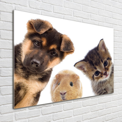 Pets - No Frame Print on Glass
