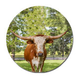 Long Horn Print
