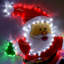 74cm LED Indoor / Outdoor Rope Lights
