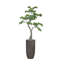 Faux bonsaï artificiel 60,25 "| Faux bonsaï artificiel dans un pot de couleur circulaire en bois