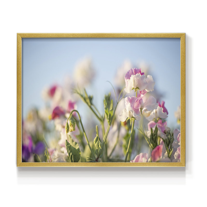Pétales de printemps - impression encadrée - réarmable