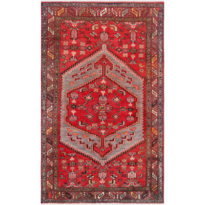 Oriental Area Rug in Rust