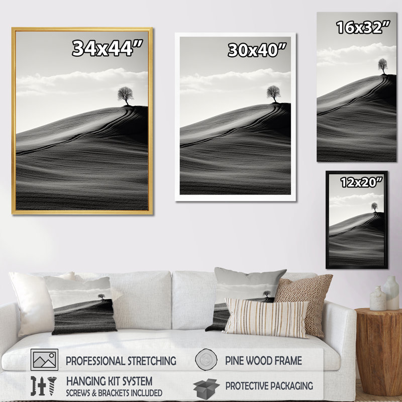 «Black and White Desert Scenery - Meadow», reproduction d'art sur toile_106452, H 32 po x l 24 po x P 1 po