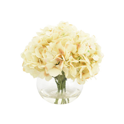 Hydrangea Arrangement in Vase