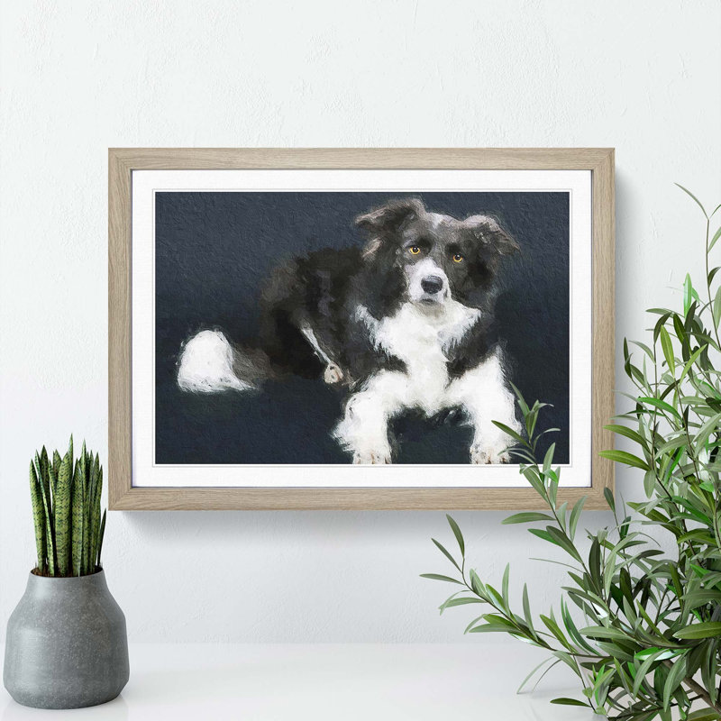 Resting Border Collie Dog - Picture Frame Painting Print, Oak Framed, 27cm H x 36cm W x 2cm D