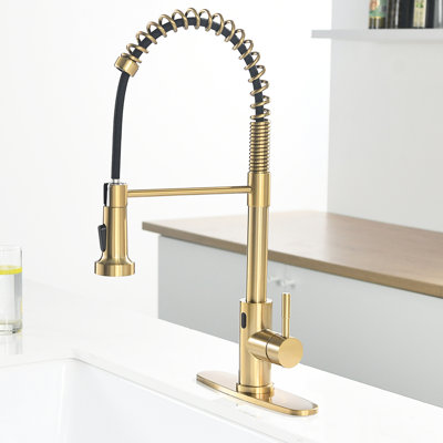 Robinet de cuisine Touchless