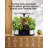 NANAN Hydroponic Unit