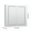 Mirrored Bathroom Cabinets with Mirror