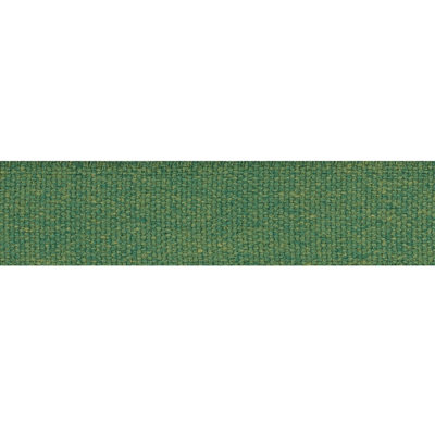 Ashwood Tape Indoor/Outdoor