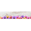 Gigliola Floral Area Rug-1608440819