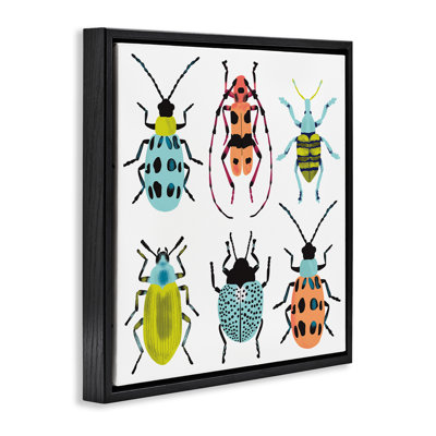 Beetles & Bugs Collection Floating Frame, design by Metka Hiti